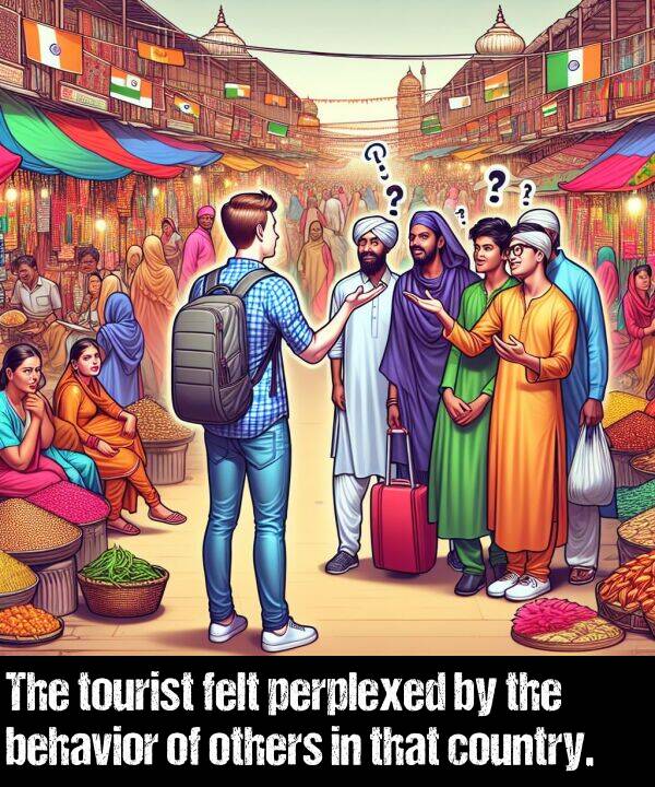 behavior: The tourist felt perplexed by the behavior of others in that country.