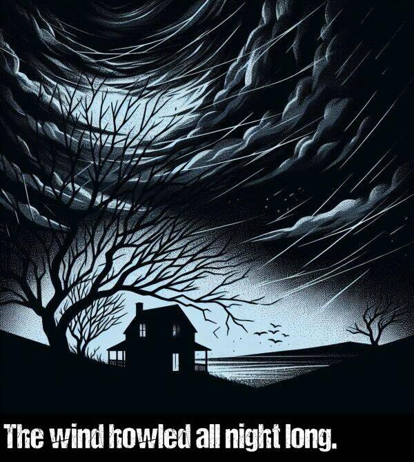 howled: The wind howled all night long.