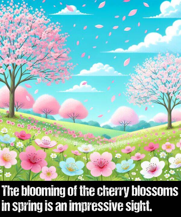 impressive: The blooming of the cherry blossoms in spring is an impressive sight.