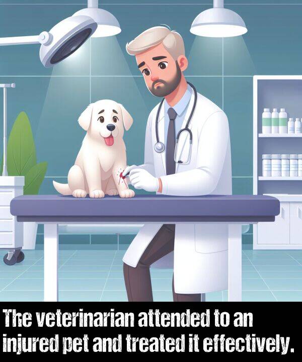effectively: The veterinarian attended to an injured pet and treated it effectively.