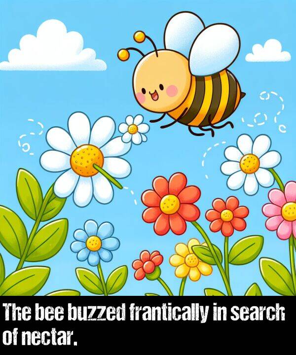 buzzed: The bee buzzed frantically in search of nectar.