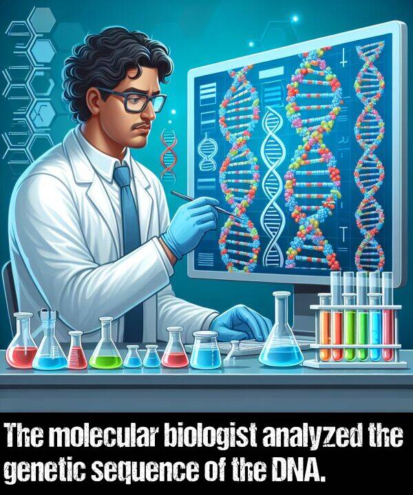 genetic: The molecular biologist analyzed the genetic sequence of the DNA.