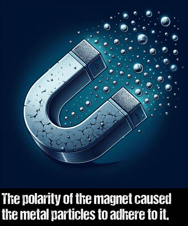 magnet: The polarity of the magnet caused the metal particles to adhere to it.