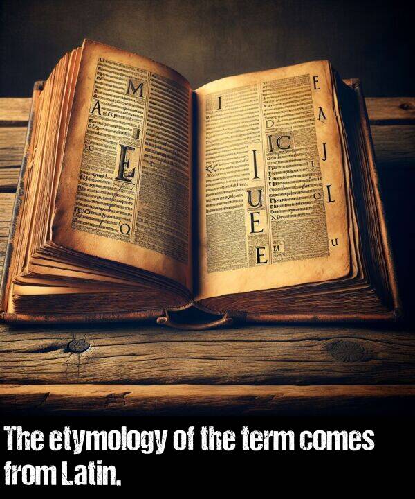 term: The etymology of the term comes from Latin.