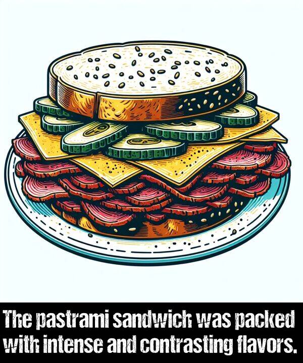sandwich: The pastrami sandwich was packed with intense and contrasting flavors.
