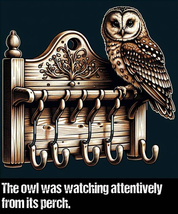 watching: The owl was watching attentively from its perch.