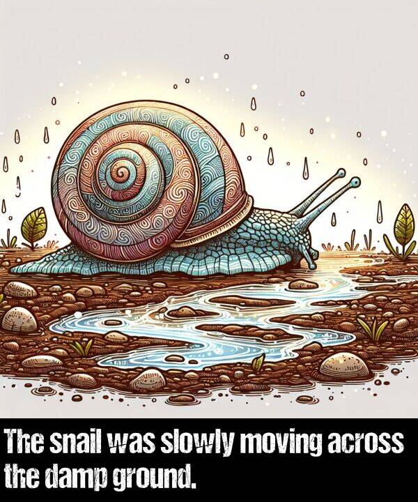 damp: The snail was slowly moving across the damp ground.