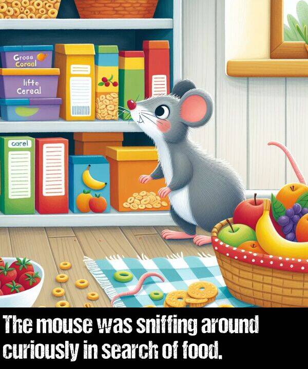 food: The mouse was sniffing around curiously in search of food.