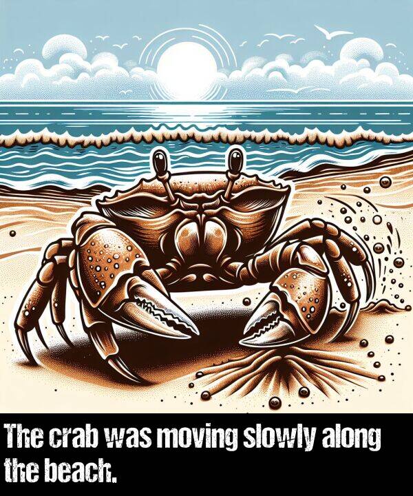 beach: The crab was moving slowly along the beach.