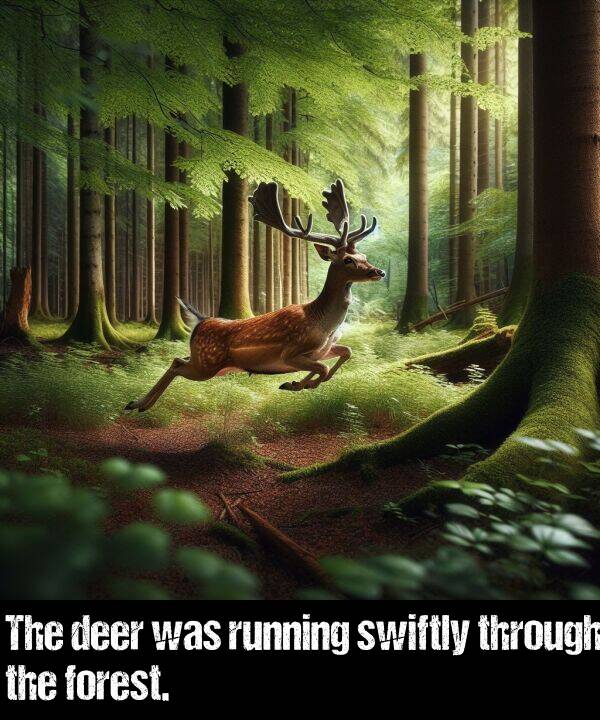 deer: The deer was running swiftly through the forest.