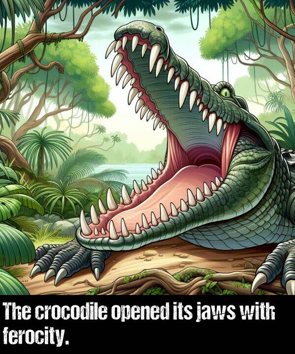 with: The crocodile opened its jaws with ferocity.