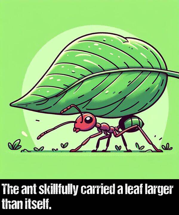 leaf: The ant skillfully carried a leaf larger than itself.