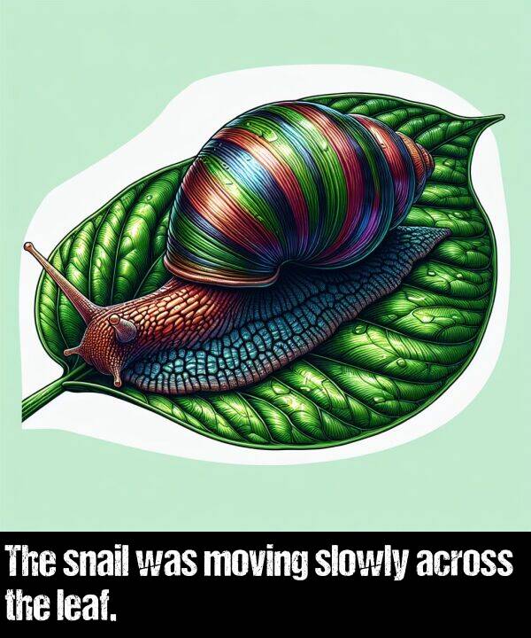 leaf: The snail was moving slowly across the leaf.