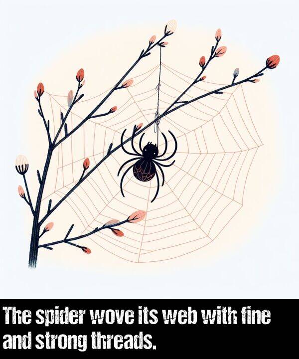 fine: The spider wove its web with fine and strong threads.