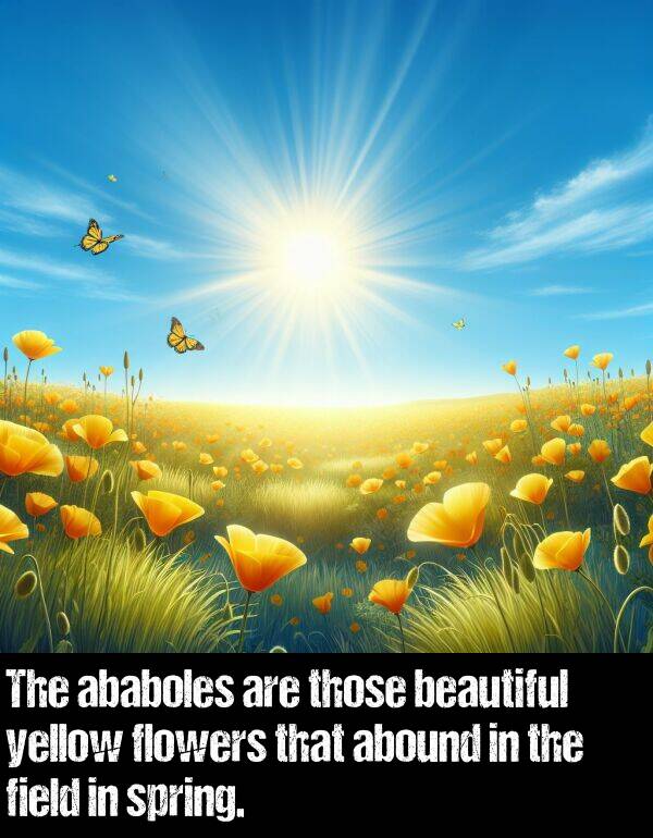 yellow: The ababoles are those beautiful yellow flowers that abound in the field in spring.