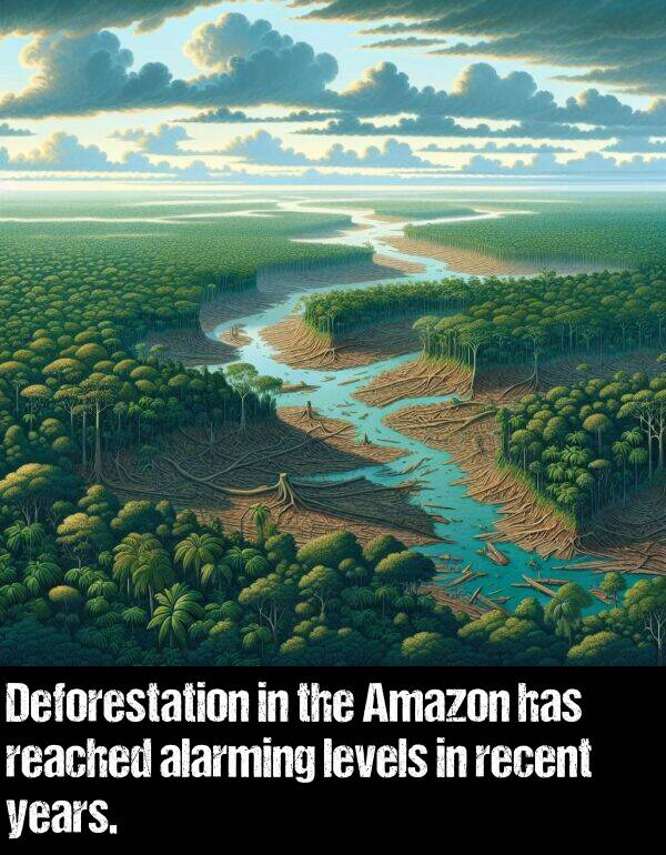 levels: Deforestation in the Amazon has reached alarming levels in recent years.