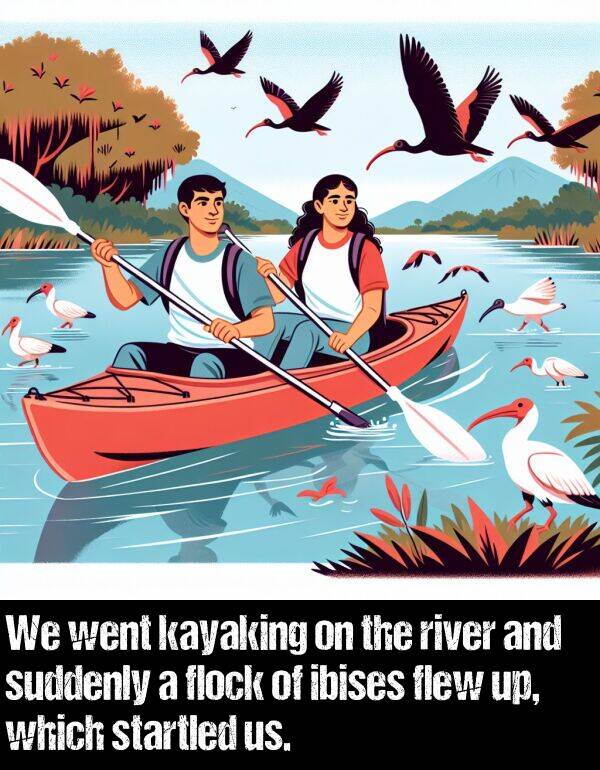which: We went kayaking on the river and suddenly a flock of ibises flew up, which startled us.
