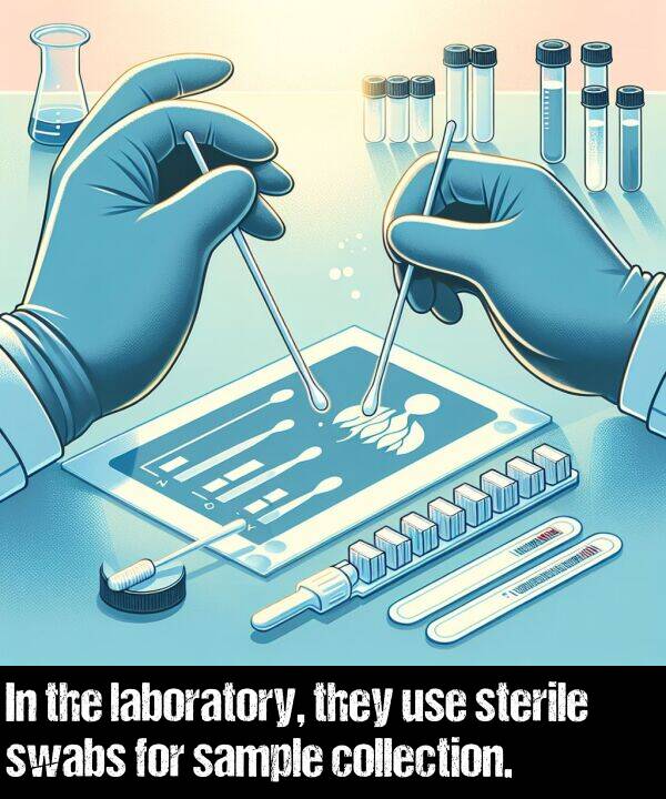collection: In the laboratory, they use sterile swabs for sample collection.