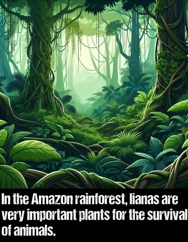 rainforest: In the Amazon rainforest, lianas are very important plants for the survival of animals.
