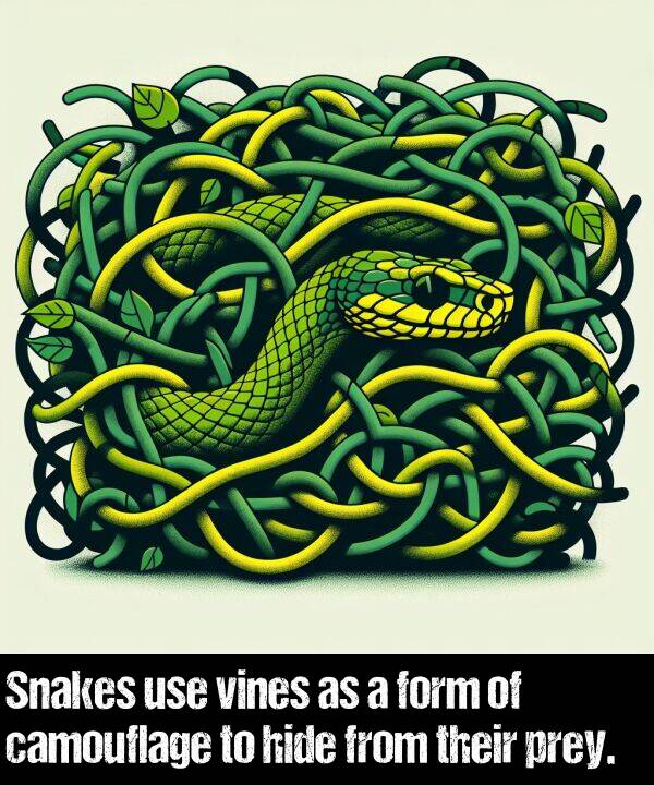 their: Snakes use vines as a form of camouflage to hide from their prey.