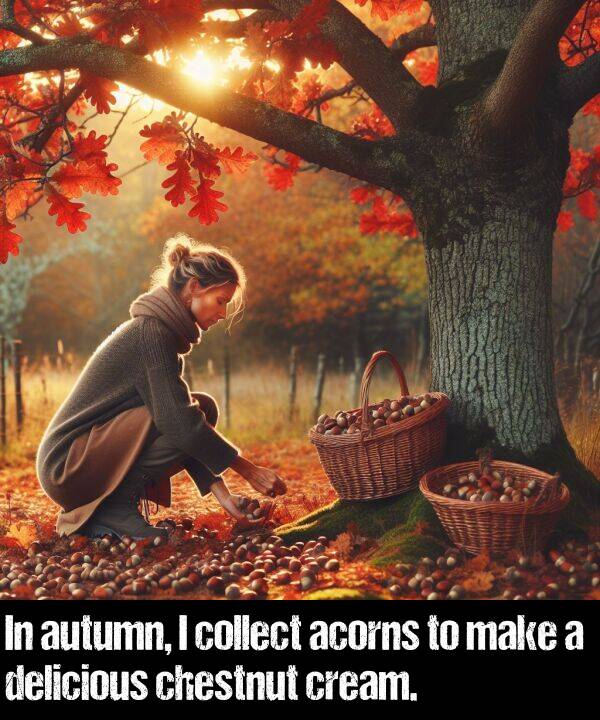 make: In autumn, I collect acorns to make a delicious chestnut cream.