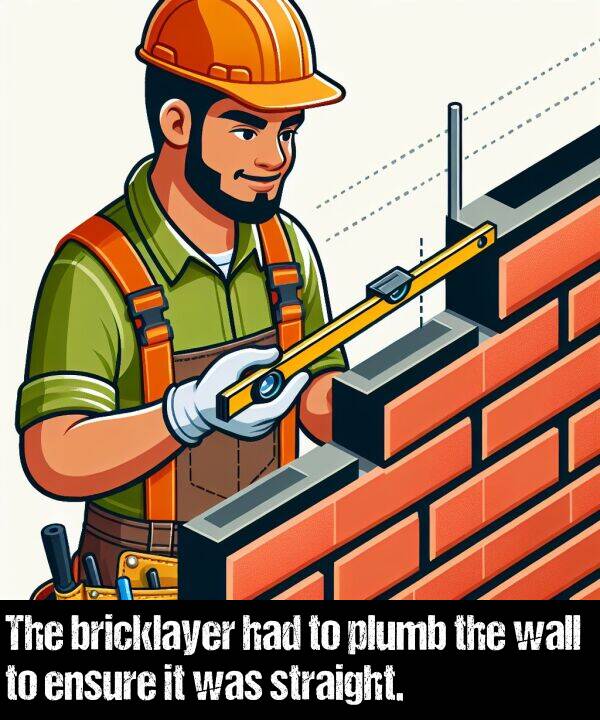 bricklayer: The bricklayer had to plumb the wall to ensure it was straight.