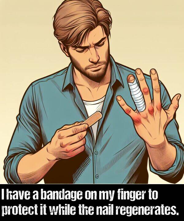 bandage: I have a bandage on my finger to protect it while the nail regenerates.