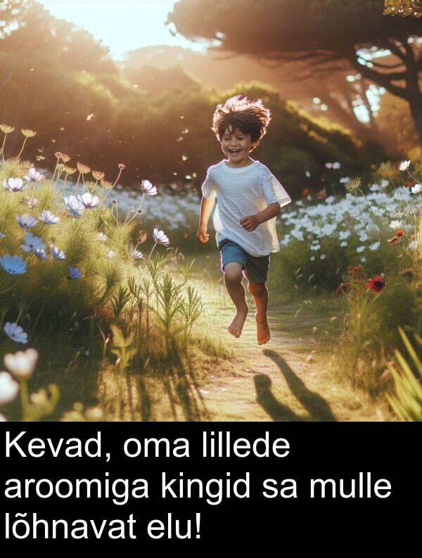 elu: Kevad, oma lillede aroomiga kingid sa mulle lõhnavat elu!
