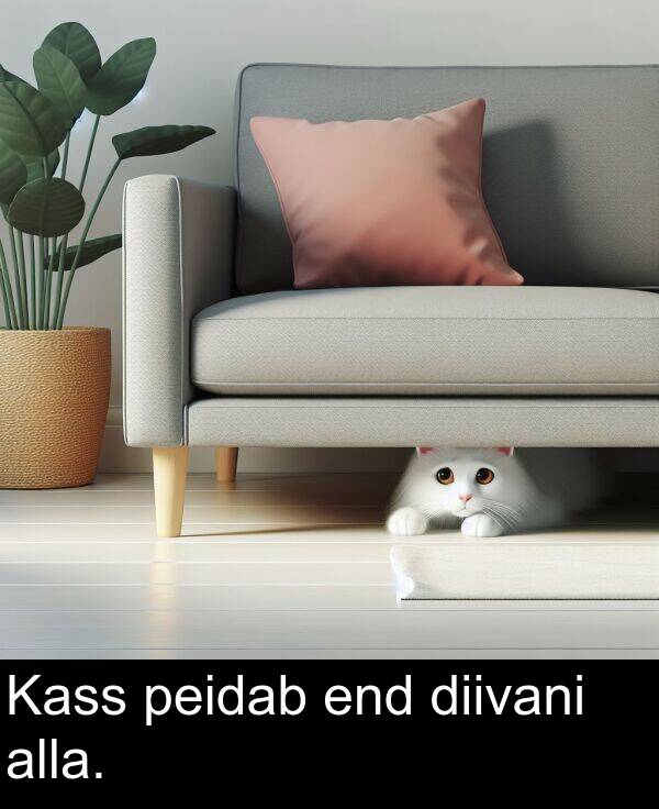 diivani: Kass peidab end diivani alla.