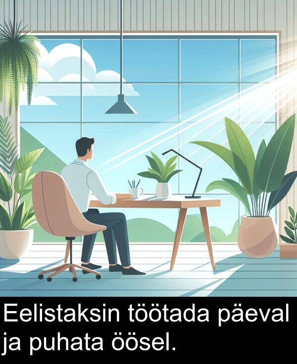 puhata: Eelistaksin töötada päeval ja puhata öösel.
