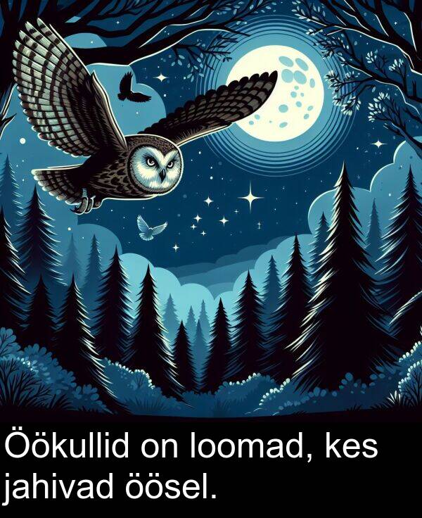 jahivad: Öökullid on loomad, kes jahivad öösel.