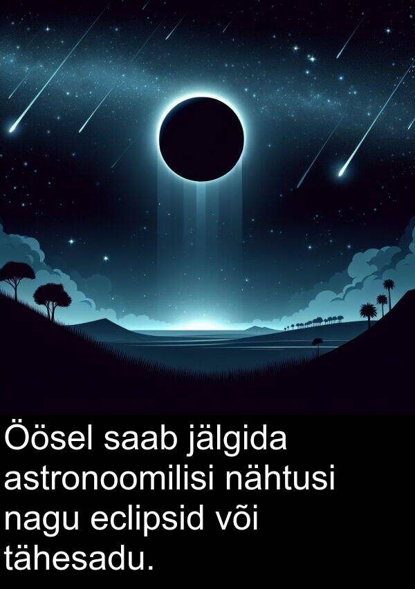 eclipsid: Öösel saab jälgida astronoomilisi nähtusi nagu eclipsid või tähesadu.