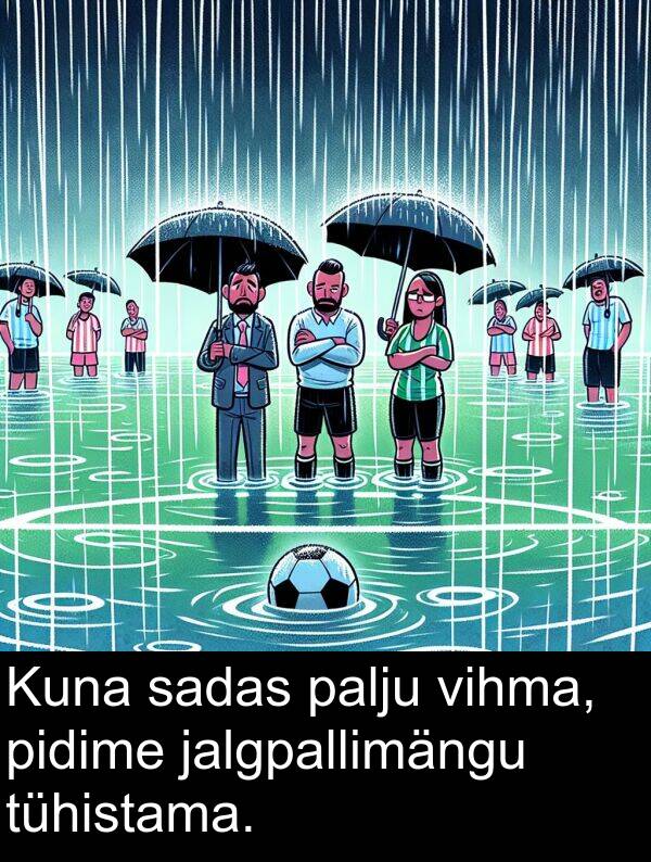 vihma: Kuna sadas palju vihma, pidime jalgpallimängu tühistama.
