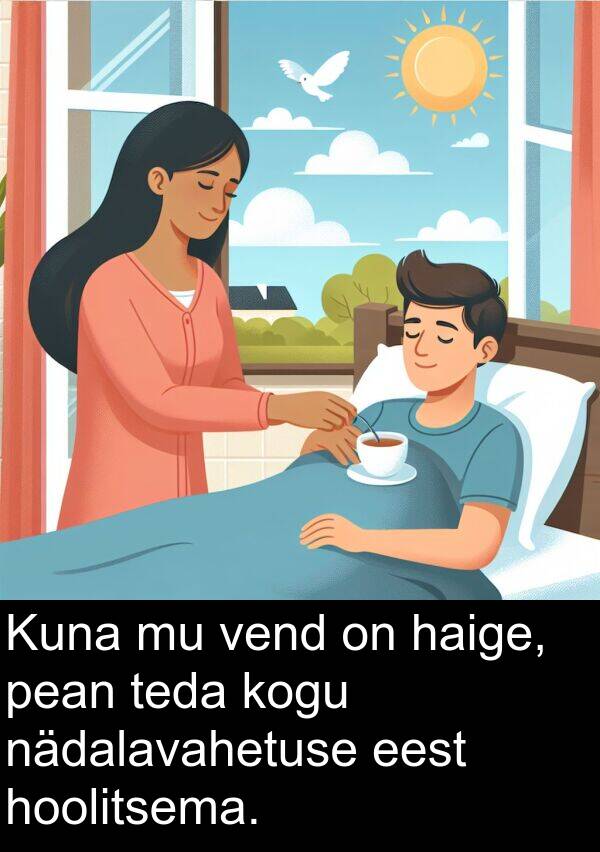 vend: Kuna mu vend on haige, pean teda kogu nädalavahetuse eest hoolitsema.