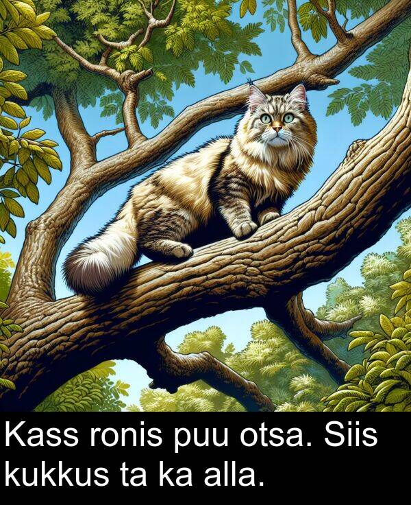kukkus: Kass ronis puu otsa. Siis kukkus ta ka alla.