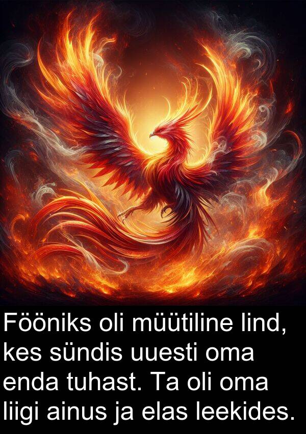 sündis: Fööniks oli müütiline lind, kes sündis uuesti oma enda tuhast. Ta oli oma liigi ainus ja elas leekides.