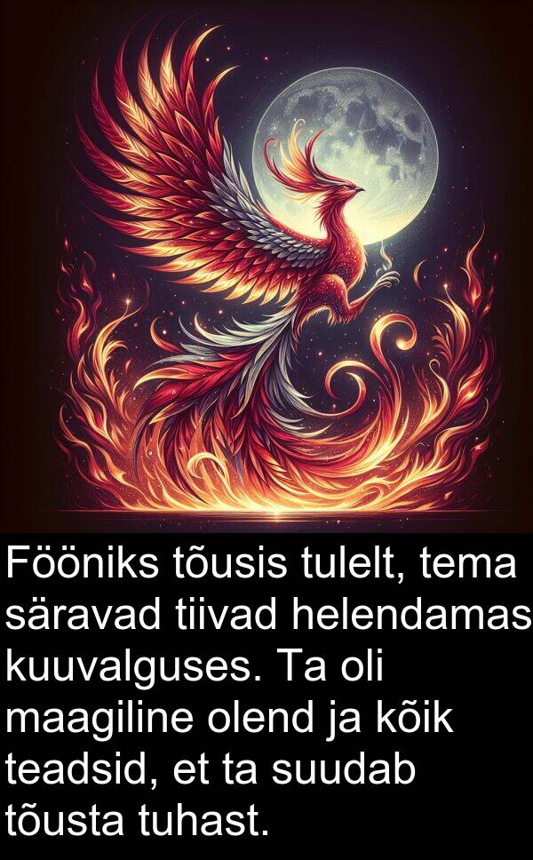 tõusis: Fööniks tõusis tulelt, tema säravad tiivad helendamas kuuvalguses. Ta oli maagiline olend ja kõik teadsid, et ta suudab tõusta tuhast.
