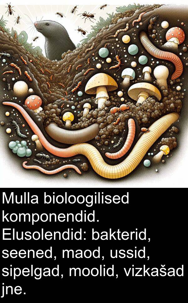 ussid: Mulla bioloogilised komponendid. Elusolendid: bakterid, seened, maod, ussid, sipelgad, moolid, vizkašad jne.