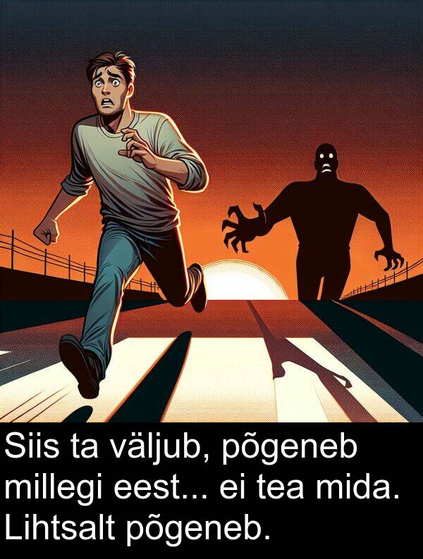 väljub: Siis ta väljub, põgeneb millegi eest... ei tea mida. Lihtsalt põgeneb.