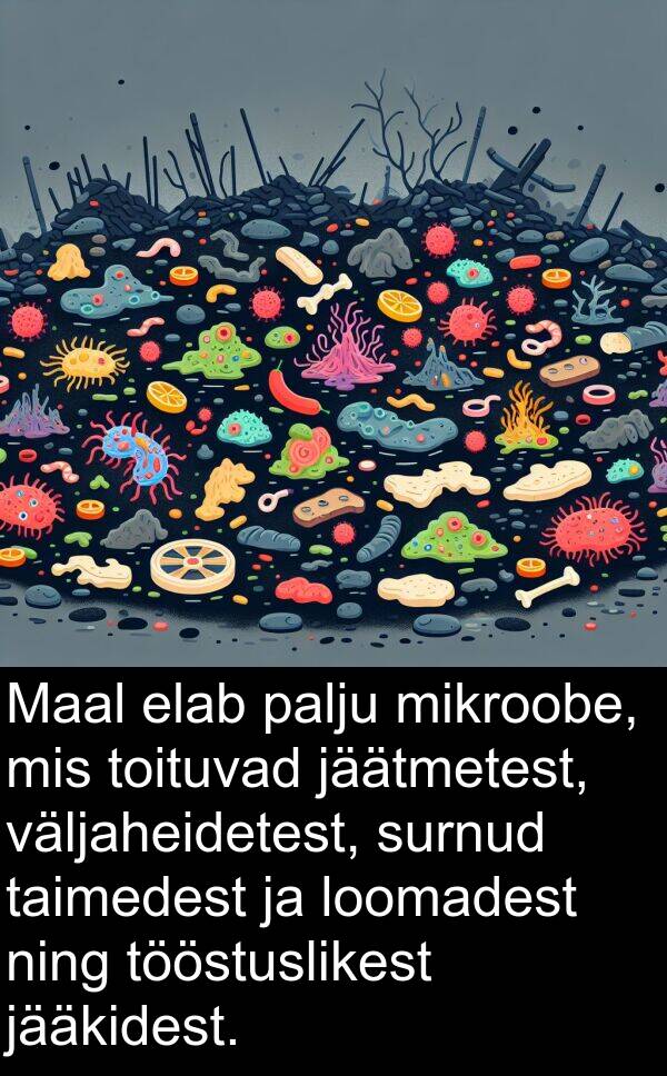 mikroobe: Maal elab palju mikroobe, mis toituvad jäätmetest, väljaheidetest, surnud taimedest ja loomadest ning tööstuslikest jääkidest.