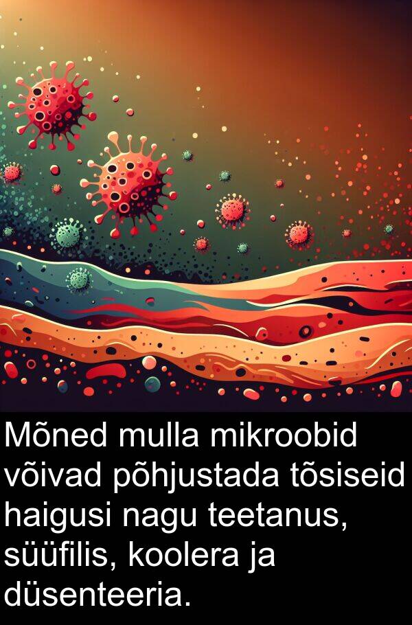 düsenteeria: Mõned mulla mikroobid võivad põhjustada tõsiseid haigusi nagu teetanus, süüfilis, koolera ja düsenteeria.