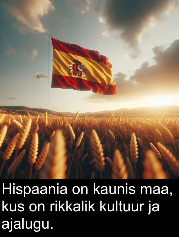 kultuur: Hispaania on kaunis maa, kus on rikkalik kultuur ja ajalugu.