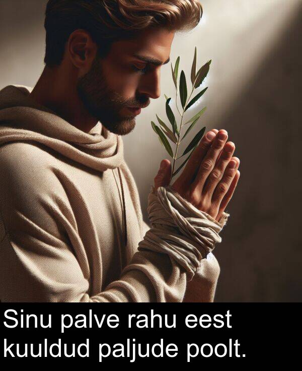 poolt: Sinu palve rahu eest kuuldud paljude poolt.