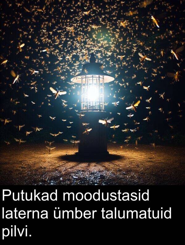 pilvi: Putukad moodustasid laterna ümber talumatuid pilvi.