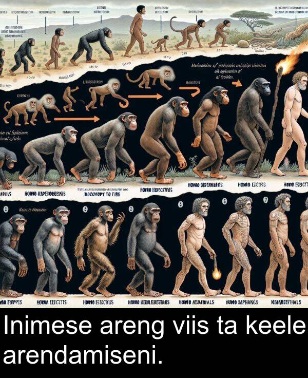 viis: Inimese areng viis ta keele arendamiseni.