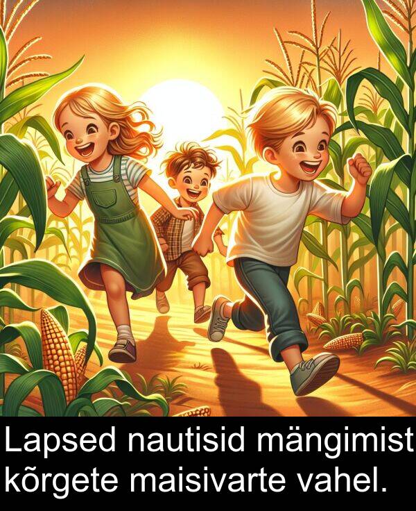 mängimist: Lapsed nautisid mängimist kõrgete maisivarte vahel.