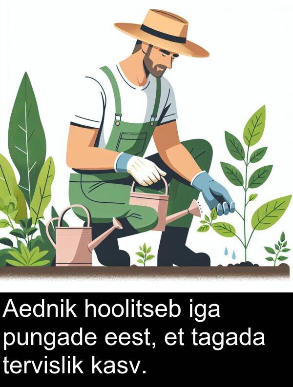 hoolitseb: Aednik hoolitseb iga pungade eest, et tagada tervislik kasv.