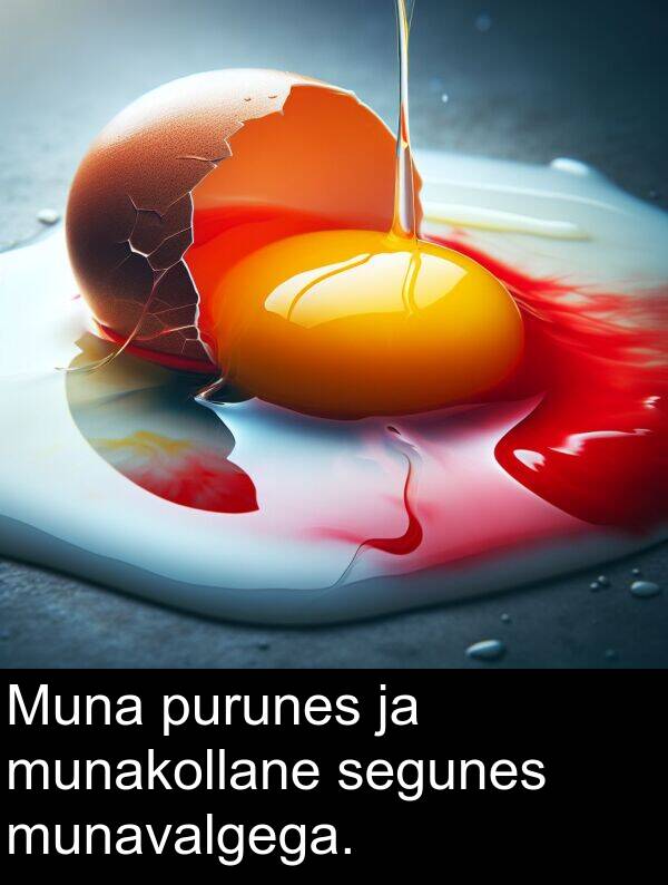 munakollane: Muna purunes ja munakollane segunes munavalgega.