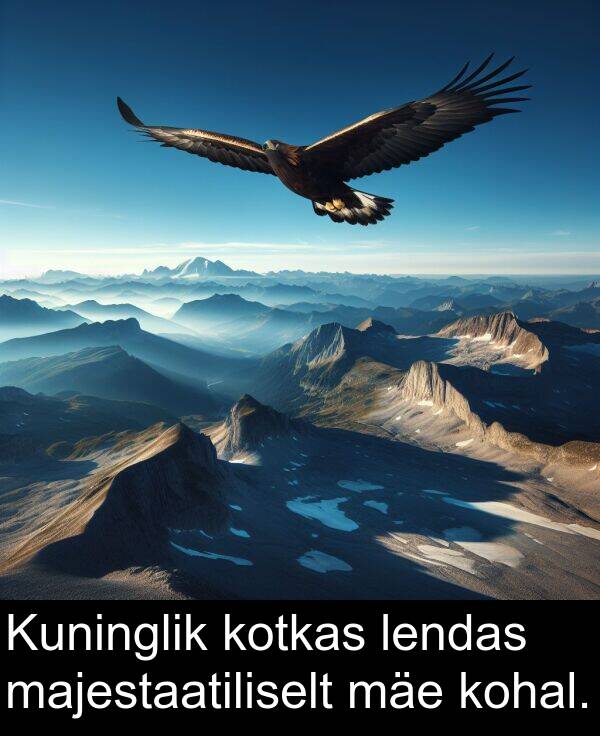 kohal: Kuninglik kotkas lendas majestaatiliselt mäe kohal.
