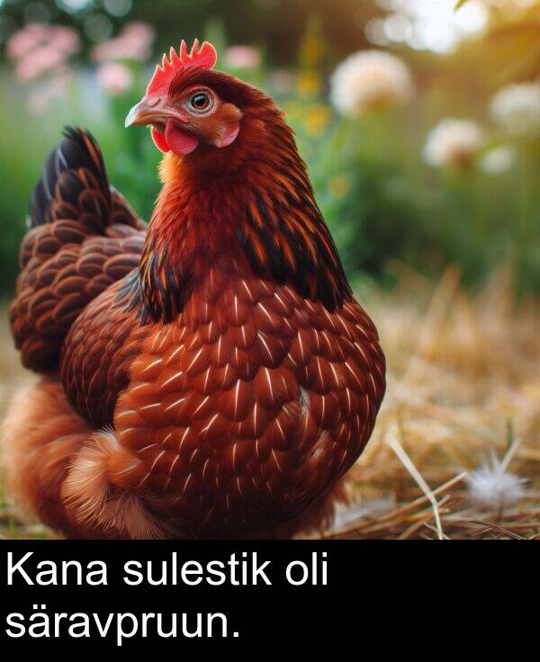 säravpruun: Kana sulestik oli säravpruun.